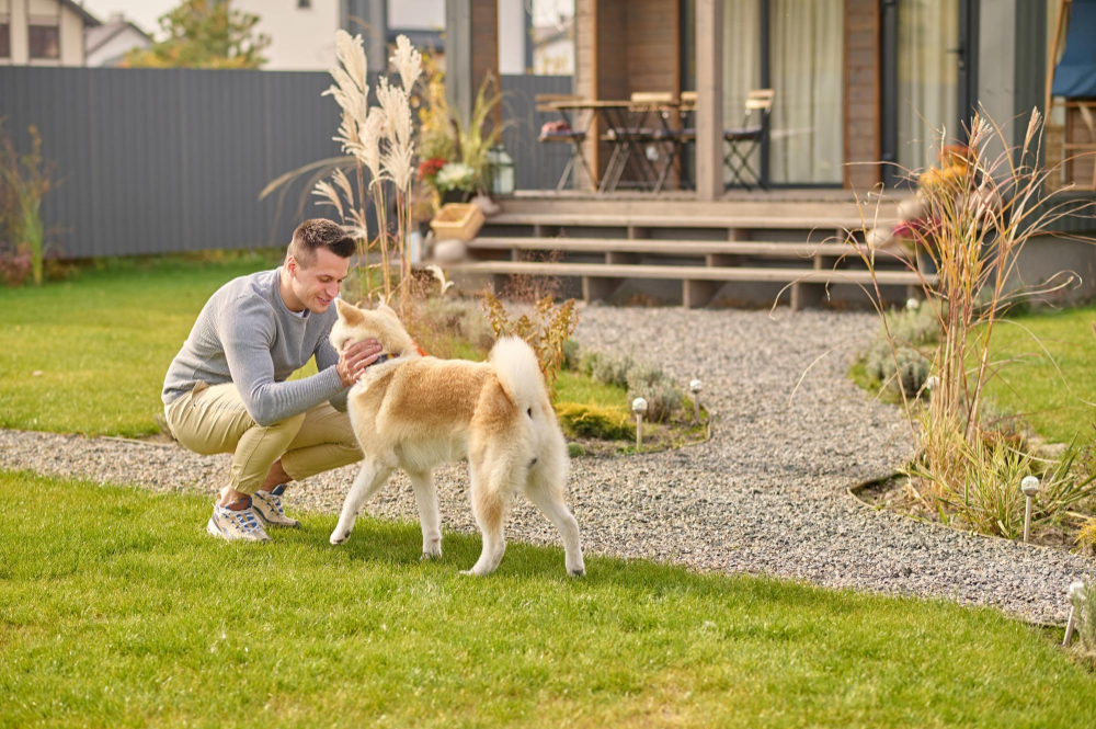 The Best Dog Friendly Patios in Texas